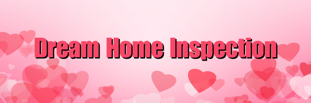 Discover the importance of a dream home inspection in this heartfelt Valentine’s Day story about love and future plans.