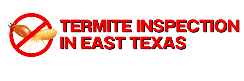 Protect your home with a professional termite inspection in East Texas. Learn why regular inspections prevent costly damage and keep your property safe.