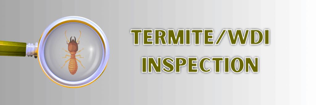 Termite inspection in East Texas home