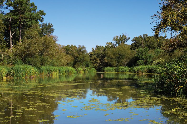 Neches River near Chandler Texas