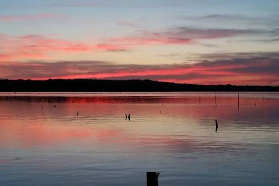 Lake Palestine near Bullard Texas
